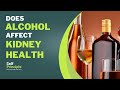 Can daily alcohol use damage your kidneys?  What does research say?