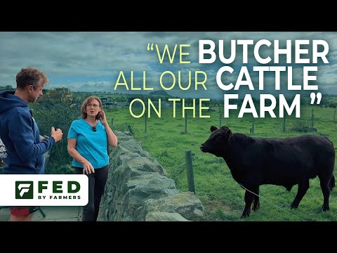 Mary Cochrane Dexter Cattle and how she processes them on farm
