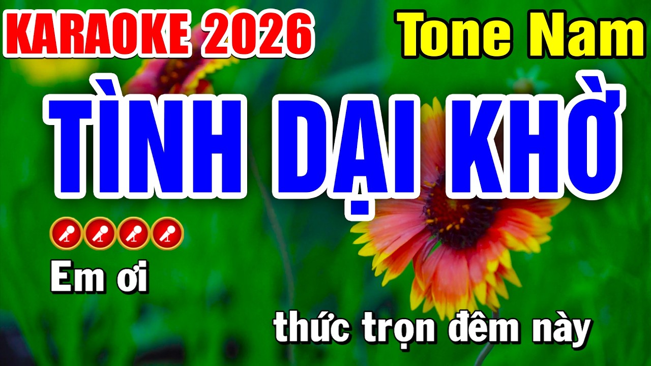 TÌNH DẠI KHỜ Karaoke 2026 Tone Nam - Tình Trần Karaoke