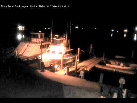 southampton cruise webcam youtube