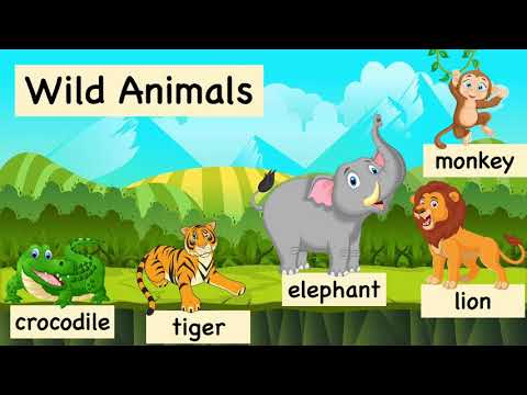 Lesson 1- Animals Around Us (Pet, Farm, and Wild Animals)