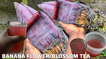 BANANA FLOWER TEA RECIPE | THE SECRET SUPERFOOD HIDING IN YOUR BACKYARD !!!