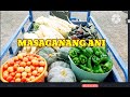 Picking vegetables  at  the farm enjoyjosephine official vlog