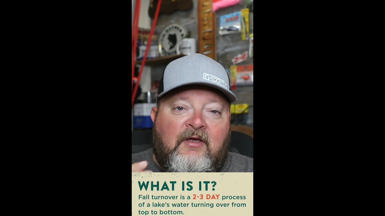 Summer to Fall Transition Explained