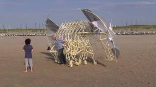 Theo Jansen on the beach. A Strandbeest session