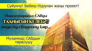 Пайгамбарыбыз САВ төрөлүшү