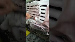 Aşırı Detaylı Araba Temizleme