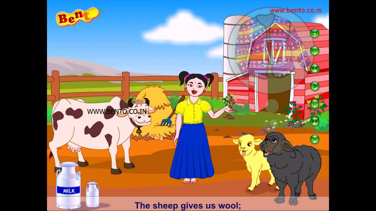 Nursery Rhymes Cow And A Sheep YouTube