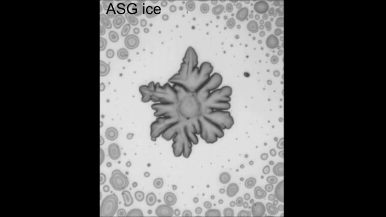 Distinct ice patterns on solid surfaces with various wettabilities ...