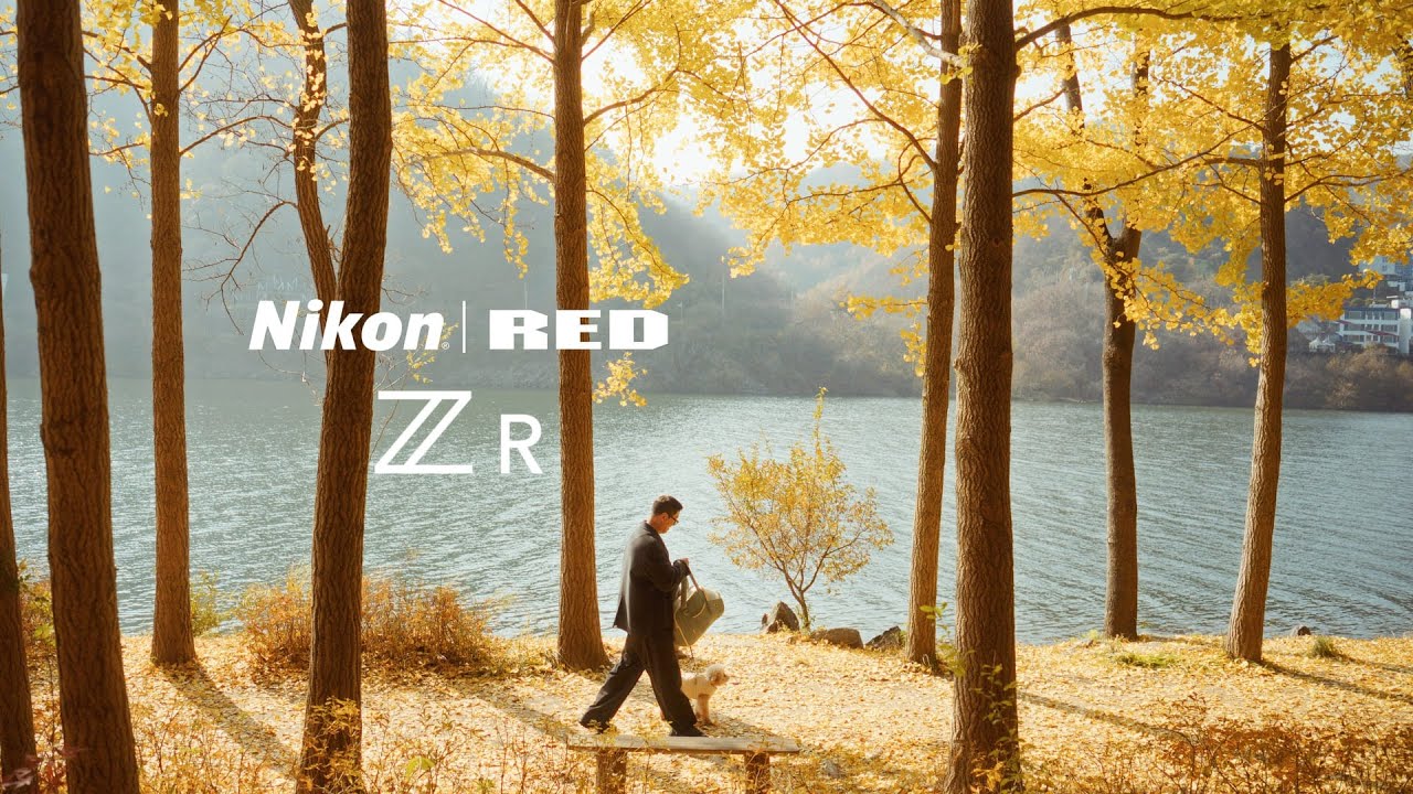 Nikon ZR | 6K RED RAW  | Autumn in Korea