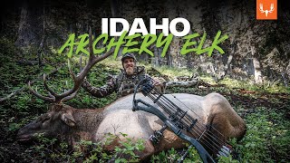 Idaho Archery Elk with Jason Phelps