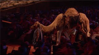 JESUS 2020 | Training the Animals | Sight & Sound Theatres®