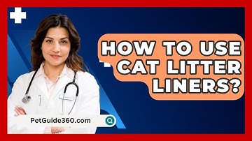 How To Use Cat Litter Liners? - PetGuide360.com