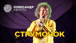 СТРУМОЧОК. Олександр Кварта