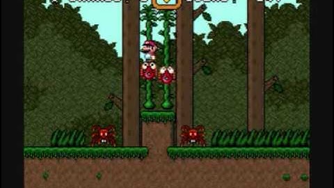 SMW Custom Music - Track 165 (CUSTOM﻿ (spigmike) - Rhythmic Jungle)