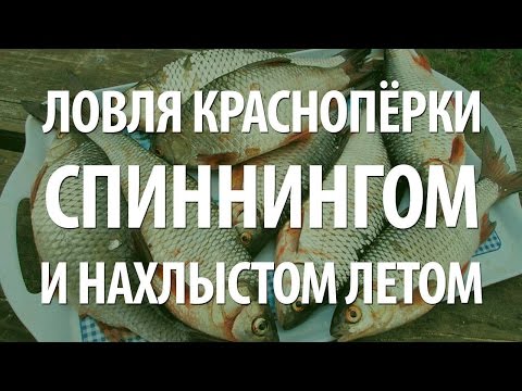 техника ловли нахлыстом летом