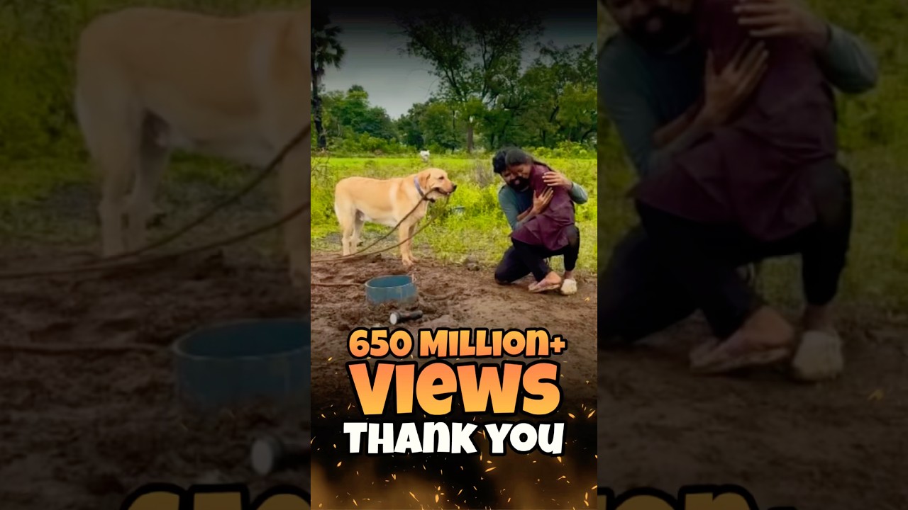Latest Title & Thumbnail