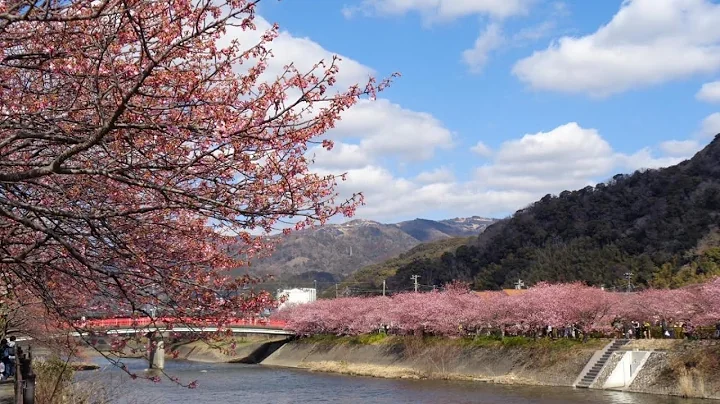 Villa House Hisago - Vacation STAY 61410v | Izu, Japan | Hotel Review 🏨