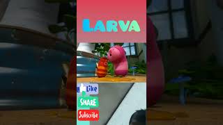 Download Lagu LARVA - DRUM BAND | Cartoon Movie Cartoons Larva Cartoon | LARVA family #shotrs #larva #tuba #react MP3