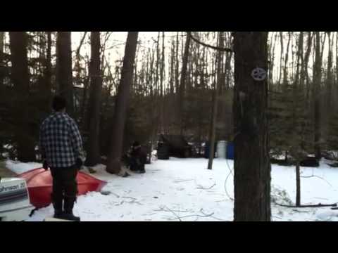Tree falls wrong way
