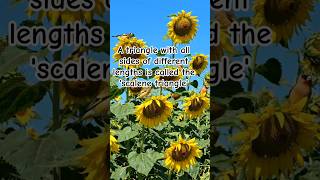 what is scalene triangle?igcse 0580 mathematics #shorts #viral #tradingvideo