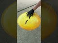 Day 4: Filling My Driveway With Emoji Chalk Art! 🥳
