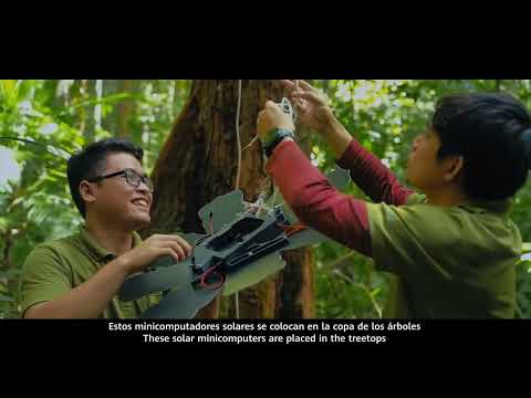 Huawei x Rainforest Connection in Latin America- The Impact of Deforestation