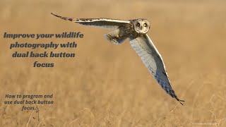 Improve your wildlife and bird photography with back button focus | Dual back button Focus | Sony A1