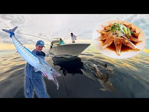 Catching Best Tasting Fish For Professional Japanese Chef Naoki | Catch + Clean + Cook