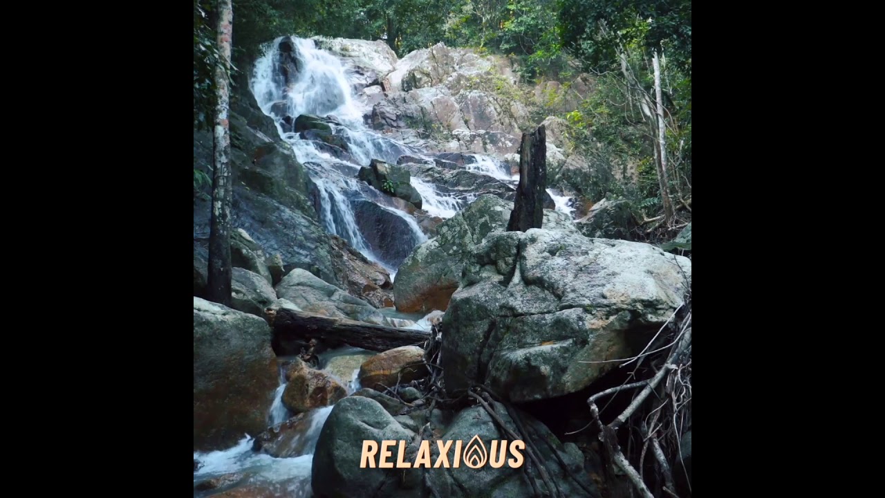 Tinnitus Sound Therapy *Brown Noise* | Forest Birds & Nature River Sounds | Relaxious 