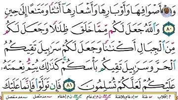 (18) تلاوة بصوت القارئ هزاع البلوشي سورة النحل، الآيات: 80-83
