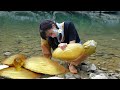 Uncover the mystery of treasure the girl discovered a giant golden clam with charming pearls inside