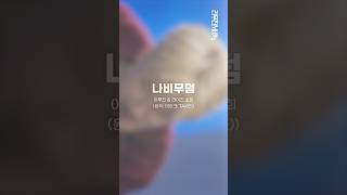[리무진서비스 가로ver.] 이무진 & 라이즈 소희 | 나비무덤