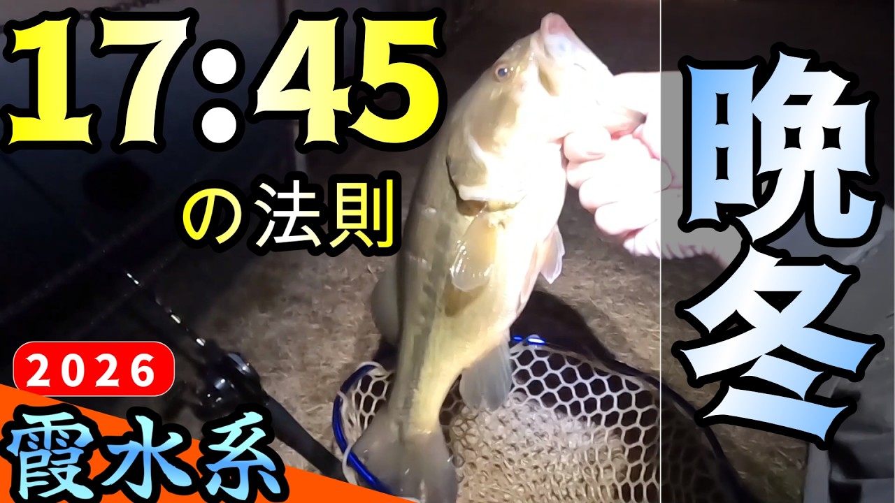 【バス釣り】【霞ヶ浦】3か所回ってゼロ・・・でも同じ場所で2本出た理由