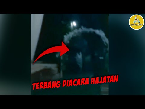 PENAMPAKAN DI ACARA HAJATAN | VCS PART 35