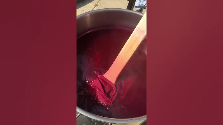 Dyeing with Cochineal by Kathleen O'Grady