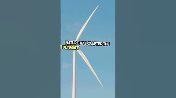 Your Brain Is Faster Than Any Supercomputer #brainfacts  #supercomputer  #thinkplay  #science