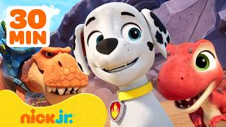 paw patrol new episodes ft dino island rescues 30 minutes