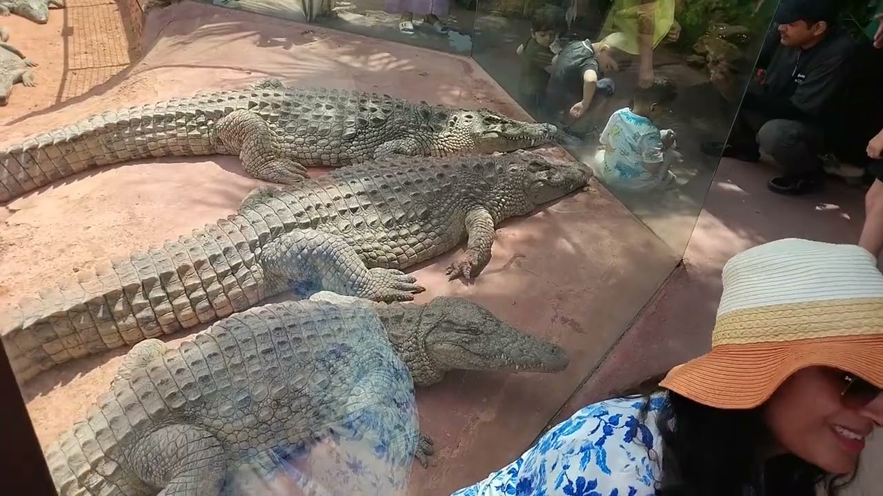 Crocoparc und Paradise Valley in Agadir, Marokko (Mai und September 2025)
