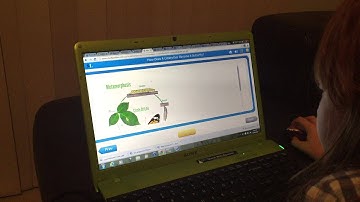 How to use Studyladder