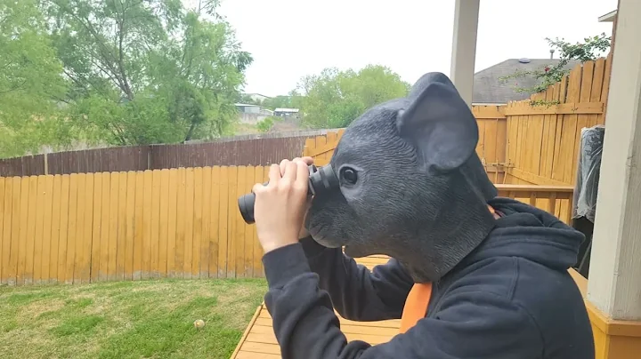 Chad Rat and the Search for his Missing Cheese