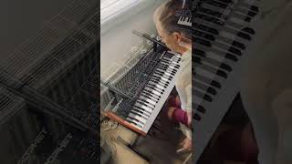 SummerJAM #digitakt2 #bassstation2 #prophetrev2 @WeAreElektron @SequentialLLC  @NovationTV