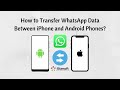 How to Transfer WhatsApp Data Between iPhone and Android Phones download premium version original top rating star