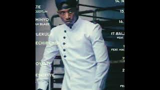 Chef 187 Sensei