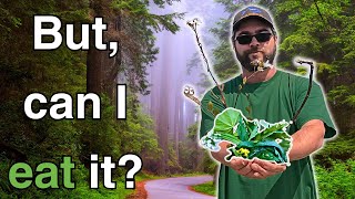 Edible Wild Plants foraging in California
