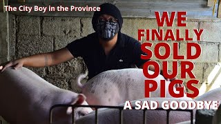 We Finally Sold Our Pigs | A Sad Goodbye | Watch Until The End To See How Much We Earned | Farm Life