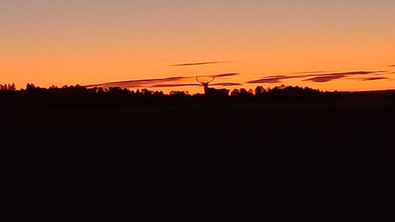 Nebraska Sandhills Late Muzzleloader Deer Hunt 2021 YouTube