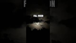 CAPTURED FULL MOON🌕 #moon #moonlight #fullmoon #shortsviral #shortvideo #fypシ゚viral #fypシ゚ #cebuph