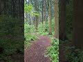 Прогулочка рано утром после дождя❤️🔥🏞