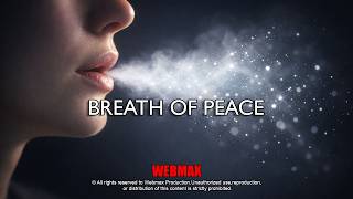 Breath Of Peace 🌬️✨ Calm Healing Ambient Music for Deep Relaxation & Inner Stillness (3 Hours) screenshot 4
